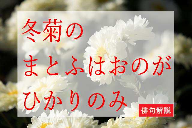 冬菊のまとふはおのがひかりのみ 水原秋桜子 擬人法の表現技法解説