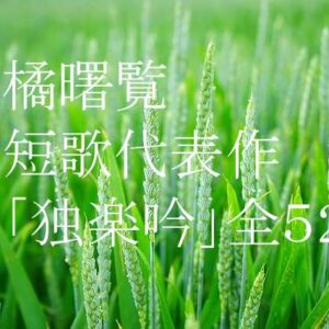 新着記事